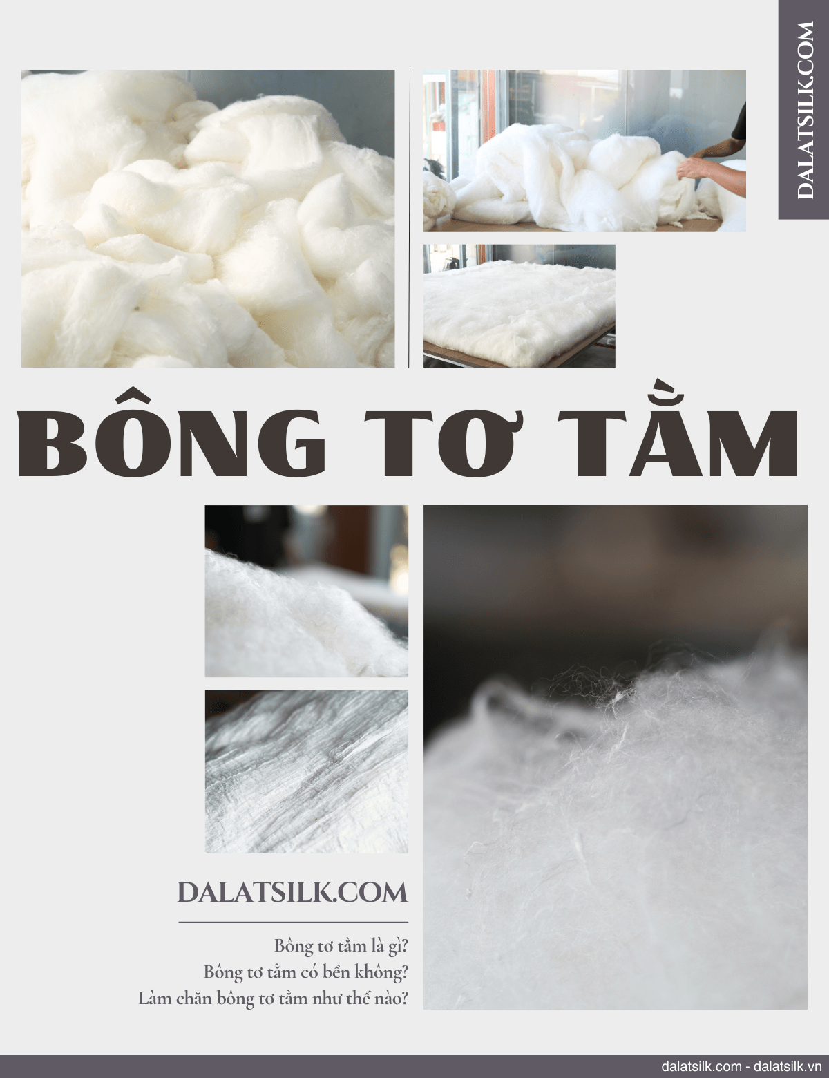 BÔNG TƠ TẰM