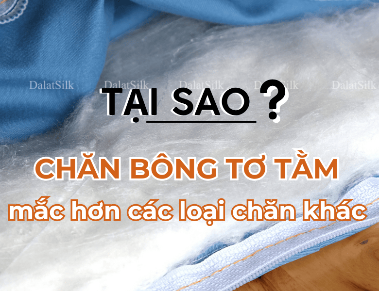 TẠI SAO CHĂN BÔNG TƠ TẰM MẮC HƠN CHĂN BÔNG THÔNG THƯỜNG?